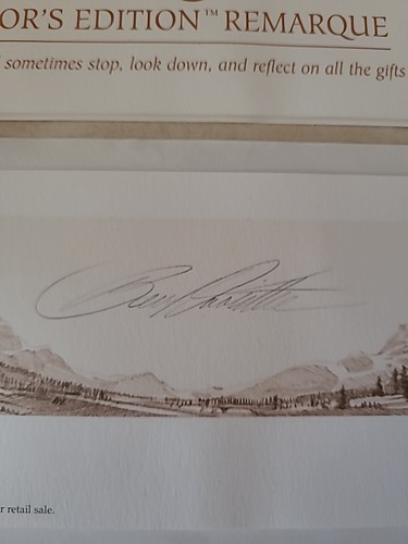 Bev Doolittle "The Spirit Takes Flight" Framed & Matted Art Print Numbered #154 - Picture 10 of 15