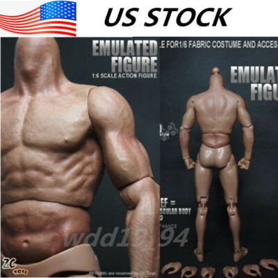 ZC Toys 1//6 Muscular Wide Shoulder Figure Body Model F 12/" Head Sculpt with Neck