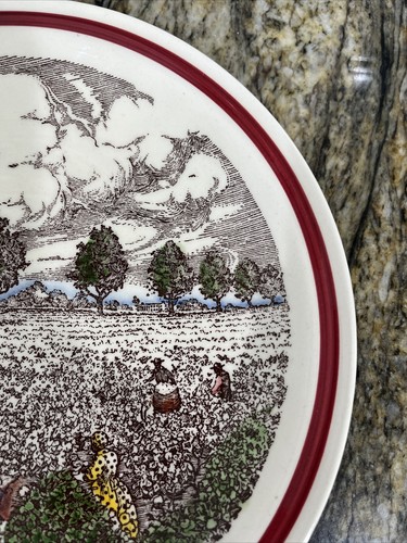 Vintage Bits of the Old South “Cotton Patch” USA 8 1/2” Collector Plate - Picture 4 of 16