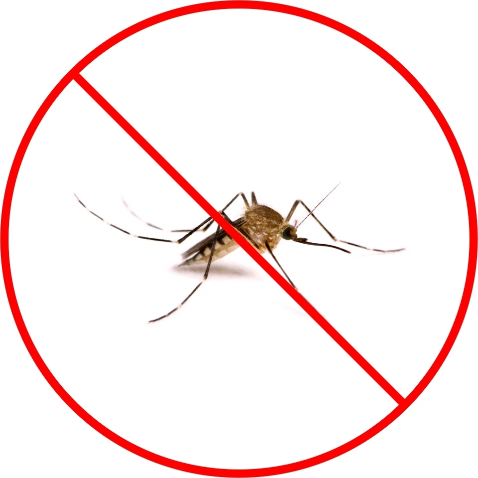 Pulverizador industrial de propano para mosquitos/niebla de insectos Foto 2 de 2