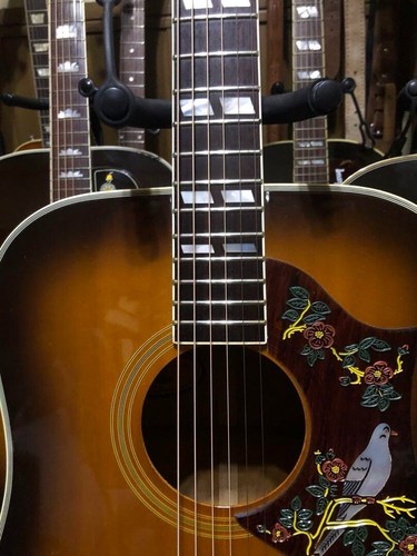 Orville by Gibson DOVE Akustikgitarre Made in Japan aus Japan - Bild 3 von 10