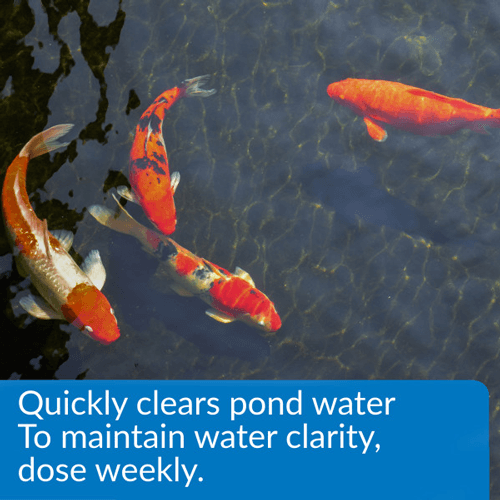 API Pond Care AccuClear 16 oz. Clarificador de agua de estanque 142 B - Imagen 2 de 6