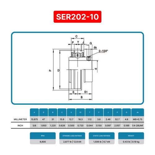 SER202-10 - 5/8" Bore - Insert Ball Bearing With Snap Ring - ER10 ER202-10 - Picture 3 of 9