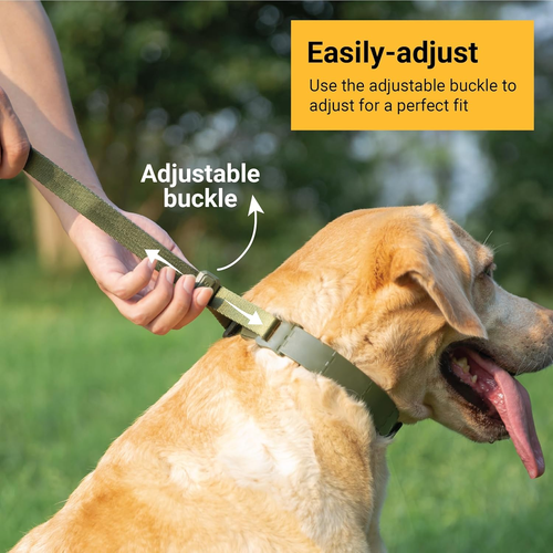 PET Dog Prong Collar for No-Pull Training, Quick-Release Buckle Adjustable - Imagen 5 de 13