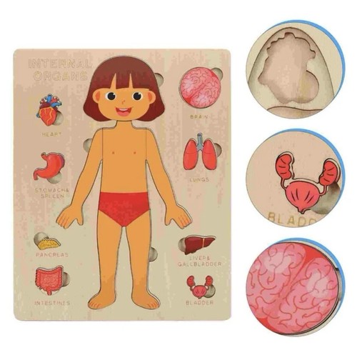 Rompecabezas de cuerpo humano para niños juguete Montessori anatomía de madera aprendizaje temprano juguete para niños pequeños - Imagen 2 de 4
