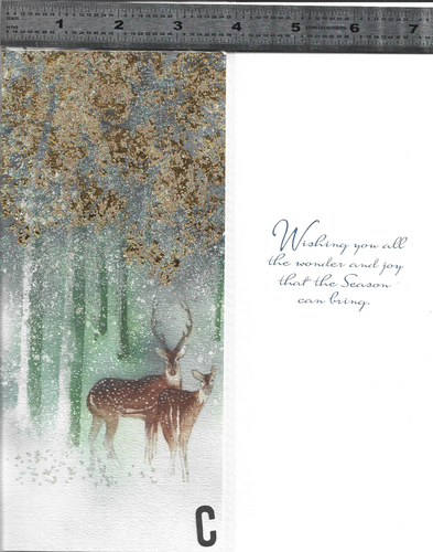 C - 1 PAPYRUS & embellished Christmas Card with Matching Envelope - Picture 32 of 48