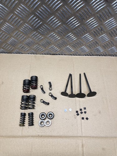 BMW S1000 RR K67 S1000 XR K69 CYLINDER HEAD VALVES SPRINGS ROCKERS SET 2019 On - Picture 18 of 24