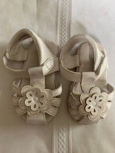 koala kids sandals