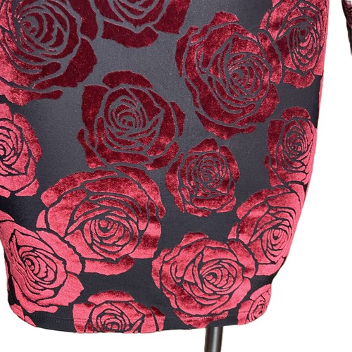 Mini Vestido Privado de Terciopelo Burnout Negro Rojo Rosa Transparente Bodycon Romántico Gótico Caprichos - Imagen 11 de 22