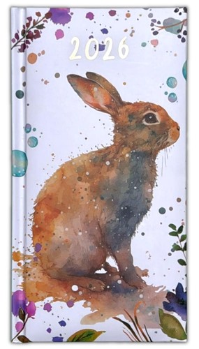 2026 DIARY POCKET SMALL / SLIM LINE METAL CORNER WEEK TO VIEW CUTE FASHION DIARY - Picture 56 of 84