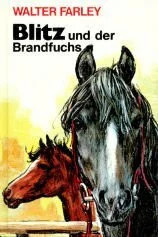 Blitz und der Brandfuchs. (Blitz   Bd. 8) ( Ab 10 J.) Buch -