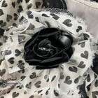 Bild 4 von 11