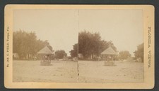 Tampa, Fla. Water WelL ~Live Oaks~March 2, 86 ~ By JAS.C. FIELDS, TAMPA, FLORIDA
