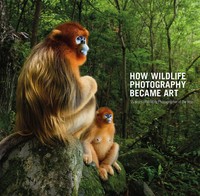 How Wildlife Photography Became Art | Rosamund Kidman Cox | Buch | Gebunden