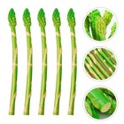 5 Pcs Fake Asparagus Lifelike Model PVC Decoration for Home Rustic Display