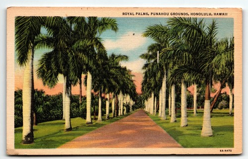 Postal de lino Royal Palms Punahou Grounds Honolulu Hawaii HI UNP - Imagen 1 de 2
