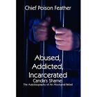 Abused Addicted Incarcerated Canda's Shame The Autobiography of an Aboriginal Rebel Paperback – 14 Apr 2011