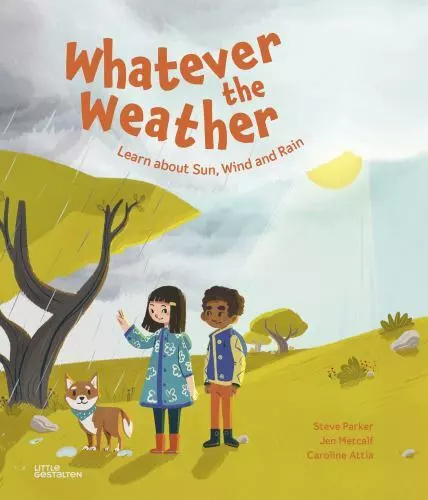 The Best Children's Rain Books