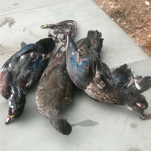Cinturón TOURBON Caza Cuero Cuello Pato Pájaros Palomas Correa de Transporte EE. UU.-Oferta Especial - Imagen 3 de 24