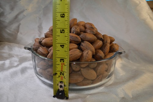 5 LBS Pecans In-Shell Utah Grown Paper Shell Pecan 2024 Crop Easy Cracking Nut - Picture 8 of 14