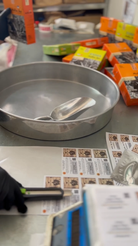 Chios Mastic Gum Mastiha Greek Medium Tears PDO 25-460 grams Exceptional Quality - Video 1 van 1