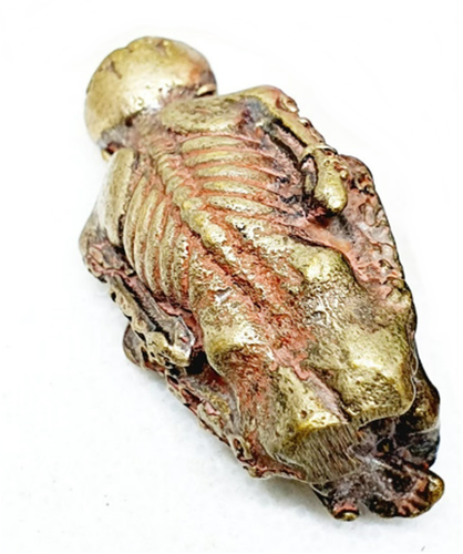 Kuman Prai Look Krok Talisman Voodoo Doll Yantra Thai Amulet 3 cm. - Imagen 2 de 3