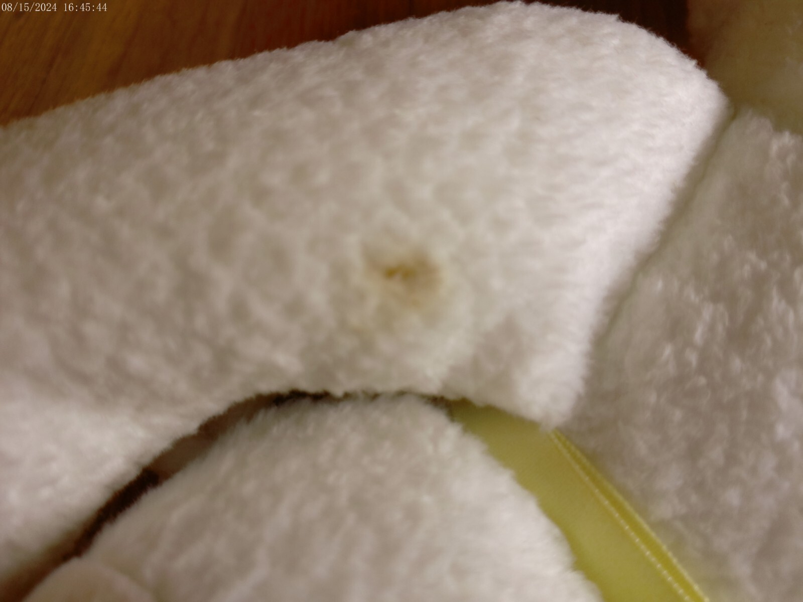 Foto 14 di 21