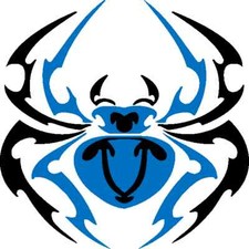 30 Custom Blue Artistic Spider Personalized Address Labels