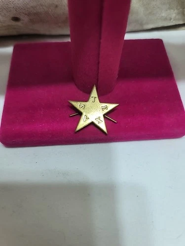 (1) REPUBLIC OF TEXAS & CIVIL WAR CALVARY STAR HAT/CAP INSIGNIA 1840s-1870s