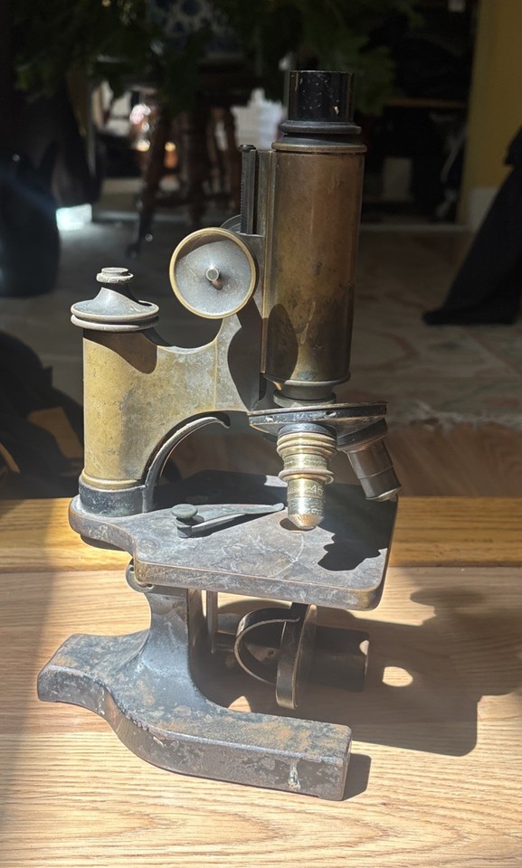 An early 1900s Spencer brass microscope — a beautiful relic of scientific history that doubles as a stunning display piece even if you never look through it.
