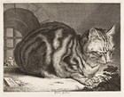 CORNELIS VISSCHER : The Large Cat : Archival Art Print