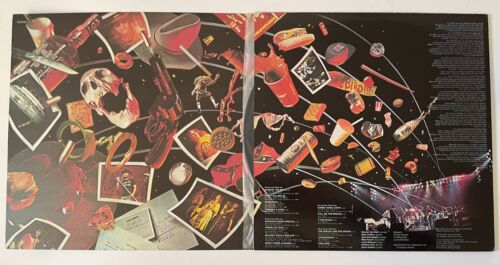 Lynyrd Skynyrd One More From The Road (live) 2 LP Vinyl Schallplatte NM/EX (#10) - Bild 3 von 4