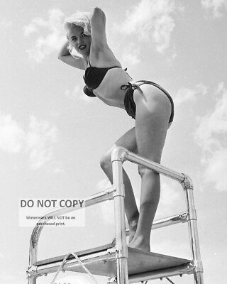 JAYNE MANSFIELD ACTRESS AND SEX-SYMBOL PIN UP - 8X10 PUBLICITY PHOTO (AB-868)