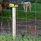 Bild 8 von 12