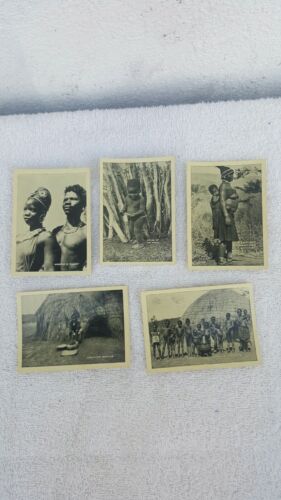 Historic&Vintage B&W Pictures (5) Of South African Tribe 1940s size 3.5×2.5 - Picture 1 of 3