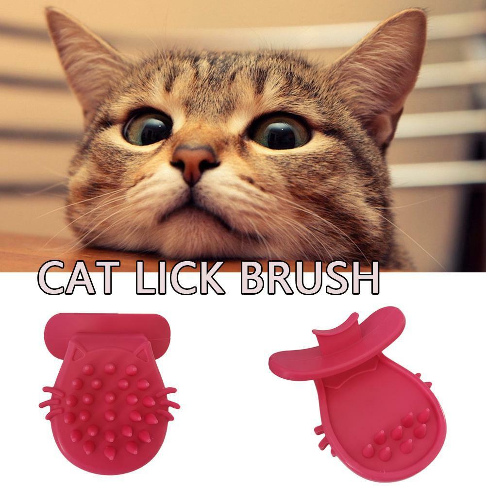 pdx pet design shru the intelligent cat companion