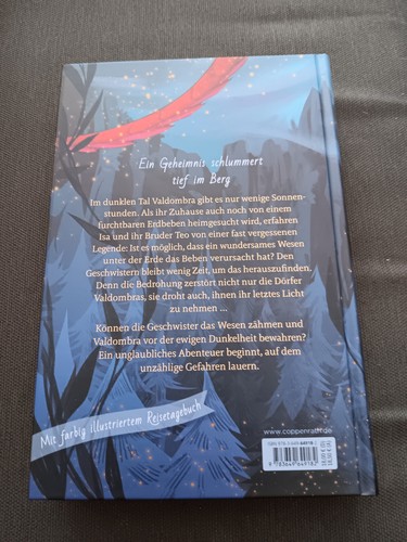 Valdombra (Bd. 1) Das Geheimnis des Drachen - Bild 2 von 3