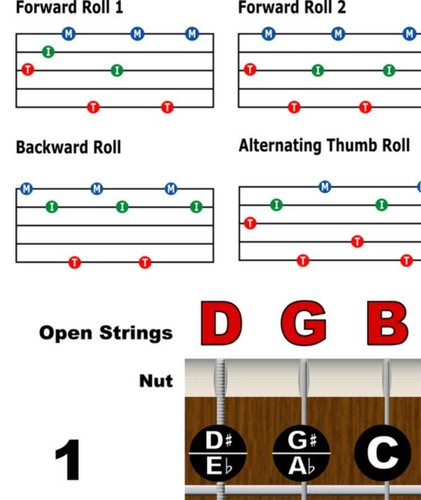 LAMINATED Banjo Chord Chart Poster Fretboard Rolls 5 String Chords Beginner - Picture 5 of 7