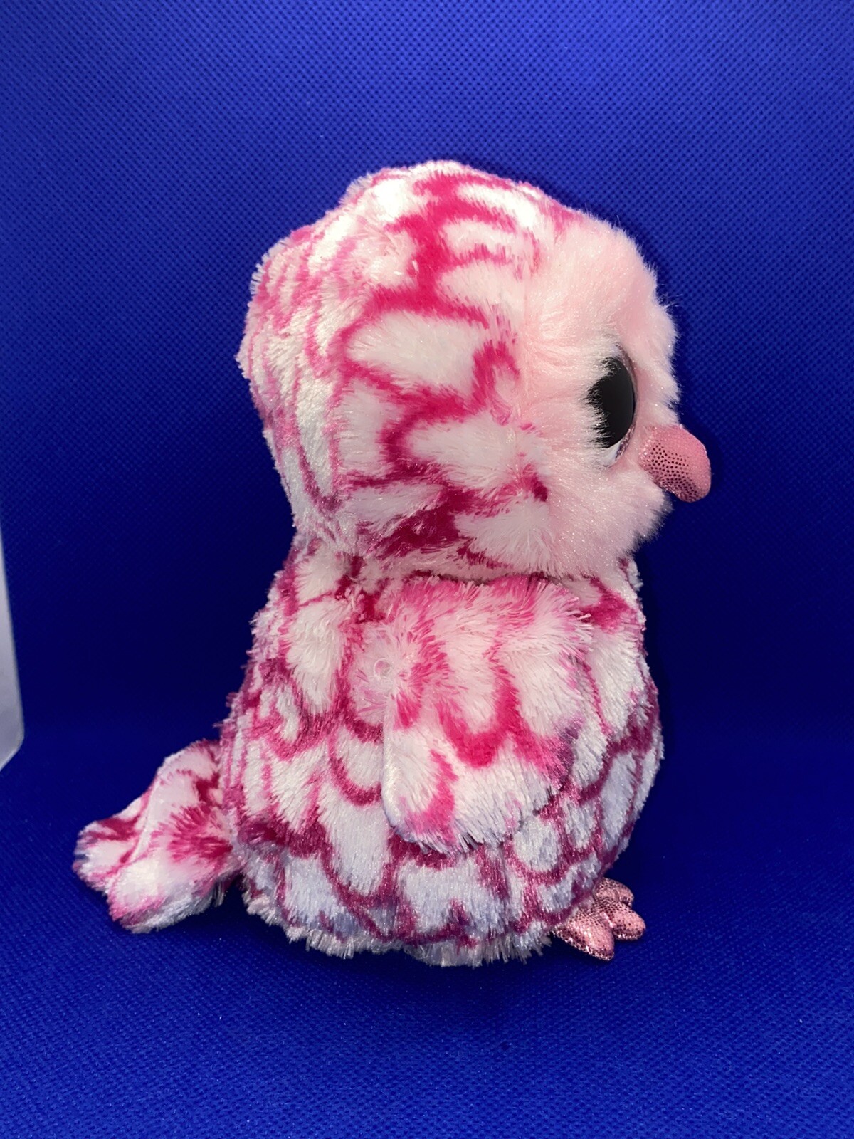 Picture 5 of 8