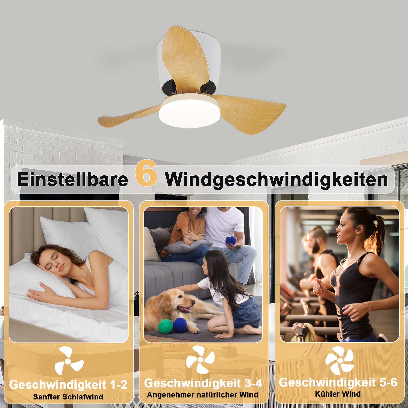 Bild 8 von 19