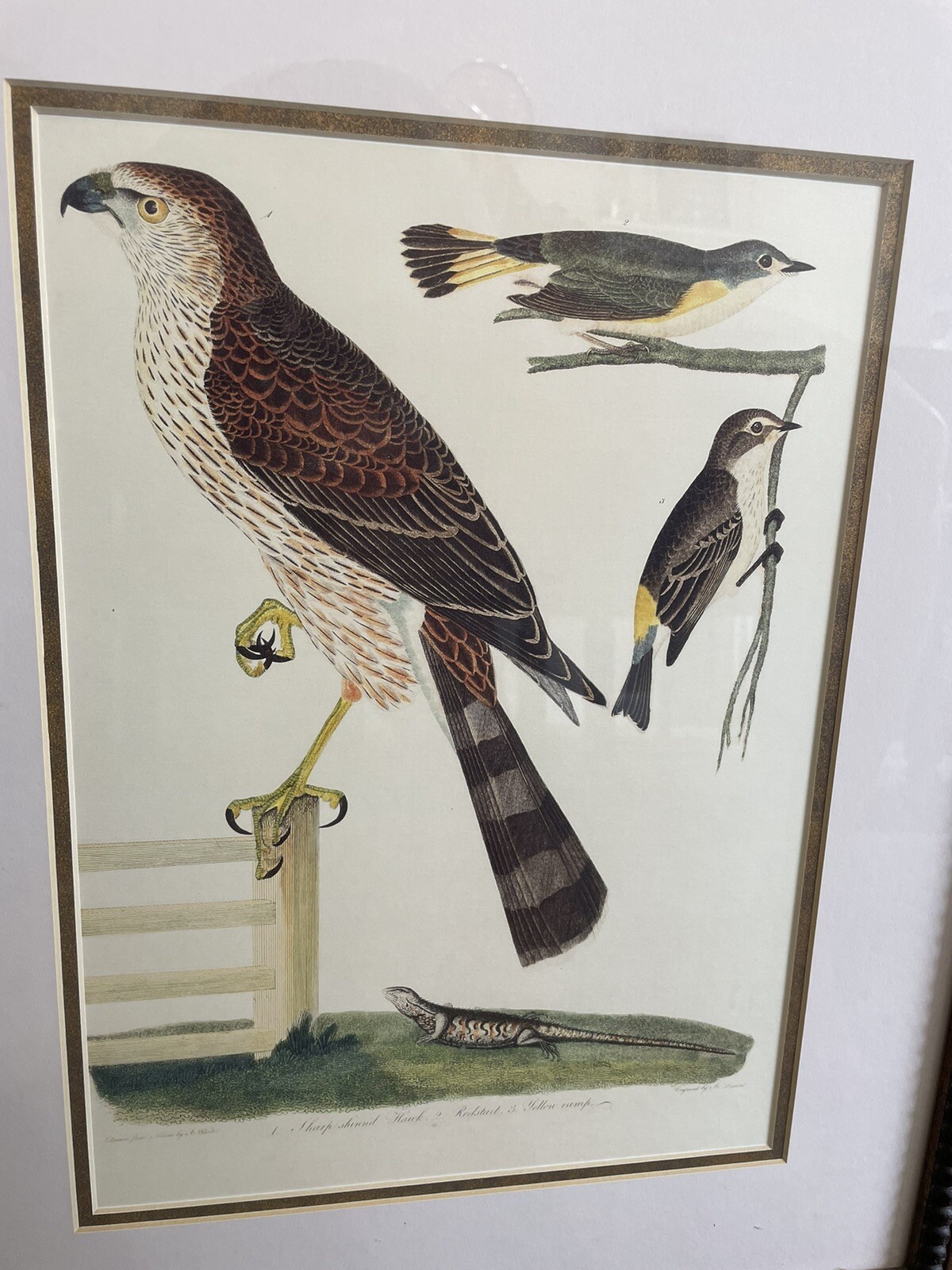 Picture 16 of 17