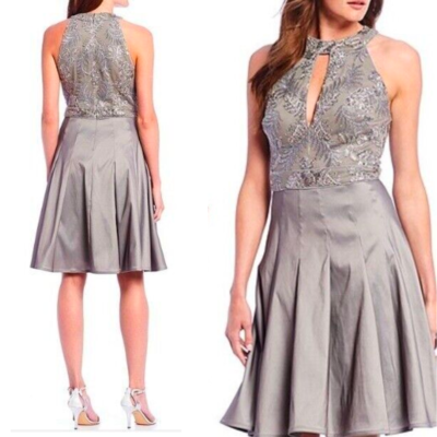 NWT Tadashi Shoji Halter Neck Silver Taffeta Fit & Flare Dress Lace Sleeveless NWT Tadashi Shoji Halter Neck Silver Taffeta Fit & Flare Dress Lace Sleeveless