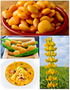 Altramuces Altramuces