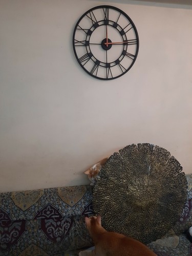 Reloj de Pared Romano Metal Negro Esqueleto Hecho a Mano Antiguo Grande Decoración Vintage - Imagen 9 de 12