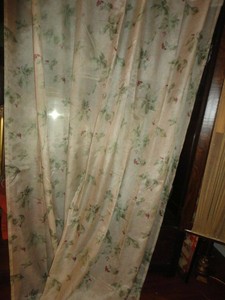 Croscill Ivy Cheri Blum Green Plum Floral Tuscan 1pc Shower