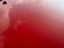 Bild 5 von 9