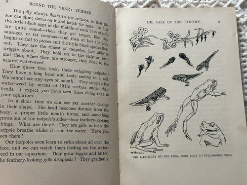 Round The Year With Enid Blyton Summer Book Vintage Paperback Evans Brothers - Picture 7 of 13