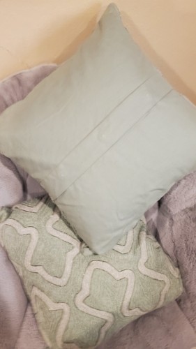 Pottery Barn Set 2 Throw Accent Pillows Down 20x20 Tectured Sage Green & Beaded - Picture 4 of 8