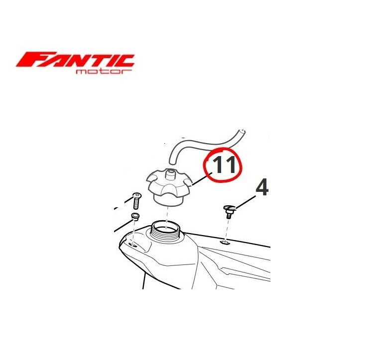 Foto 3 di 3