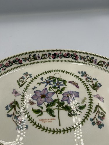 Servizio piatti bistecca vintage Portmeirion varianti Susan Williams Ellis - Foto 12 di 20
